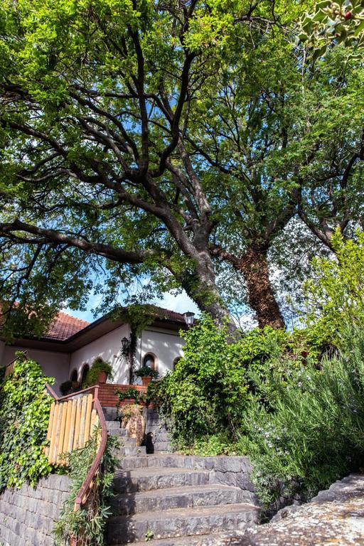 Domus Verdiana Ragalna Bagian luar foto